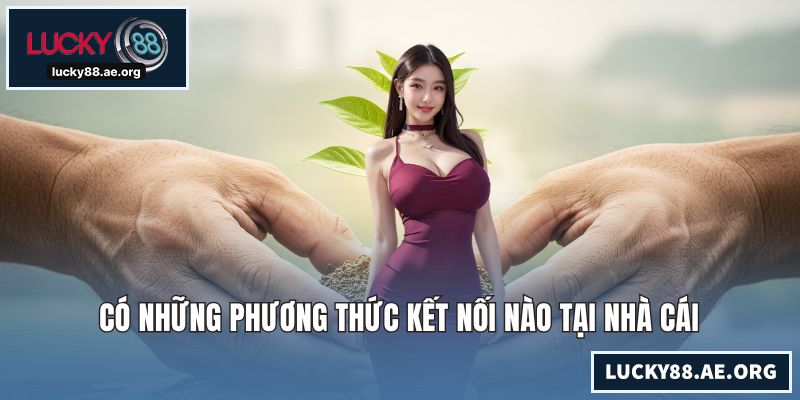 Có những phương thức kết nối nào tại nhà cái