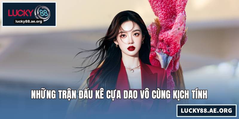 Những trận đấu kê cựa dao vô cùng kịch tính