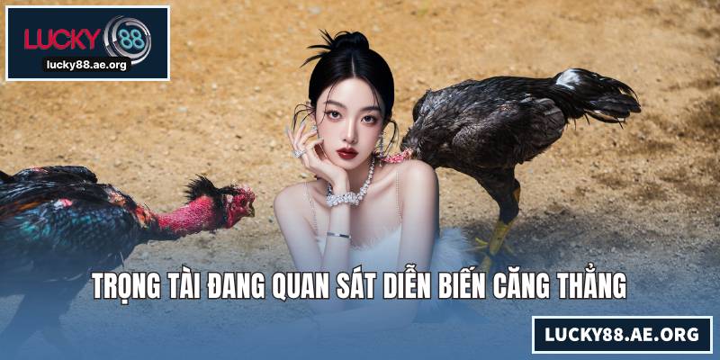 Trọng tài đang quan sát diễn biến căng thẳng